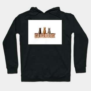 Three cats on the wall Hoodie